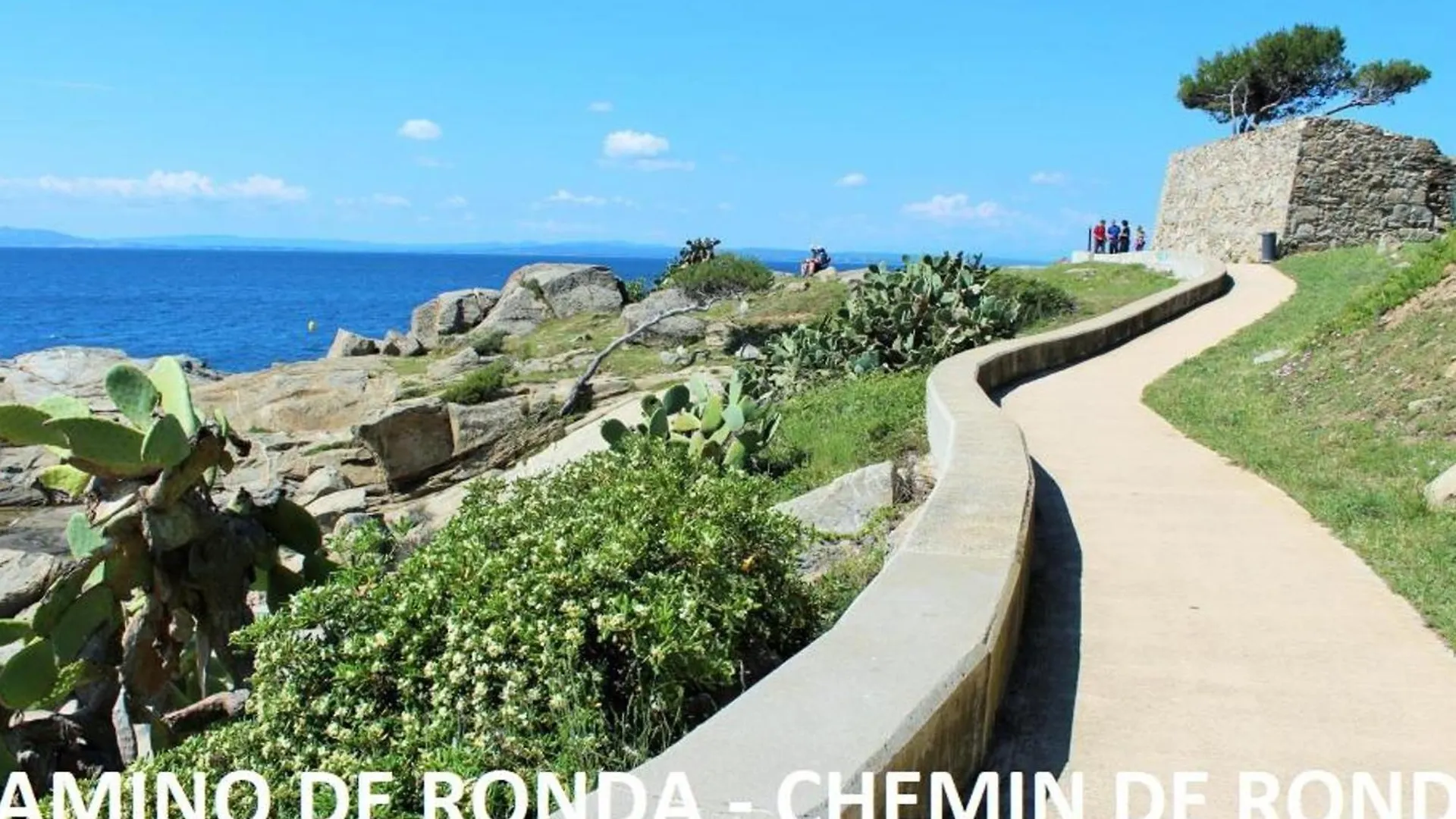 Appartamento Espectaculares Vistas Al Mar En Primera Linea, Terraza, Aire Acondicionado, Y Wifi En Roses - Es-258-68 Spagna